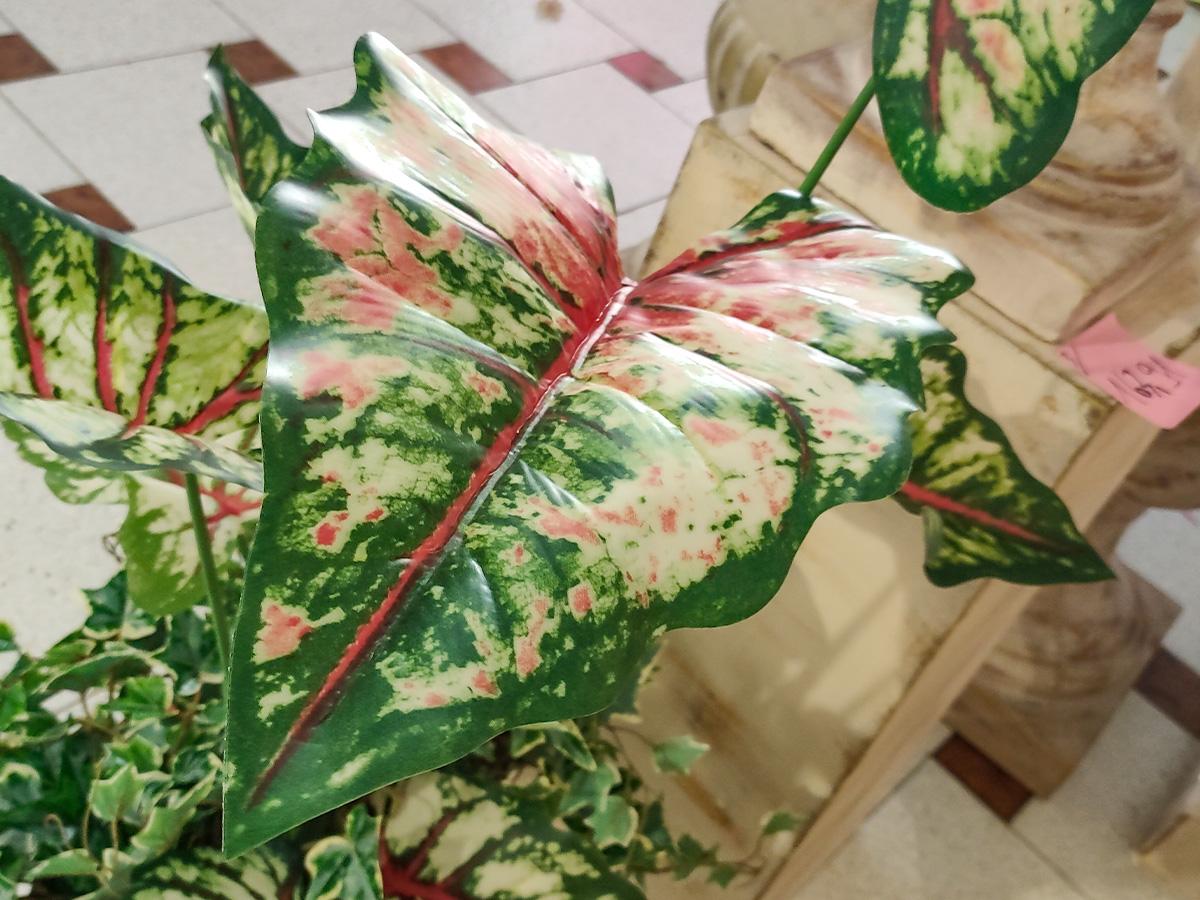 Caladium H 100 con 9 foglie - Sconti per Fioristi e Aziende . - Artificiale con vaso