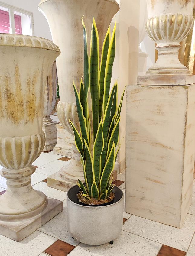 Sanseveria Trifasciata H 90  - Sconti per Fioristi e Aziende . - Artificiale con vaso