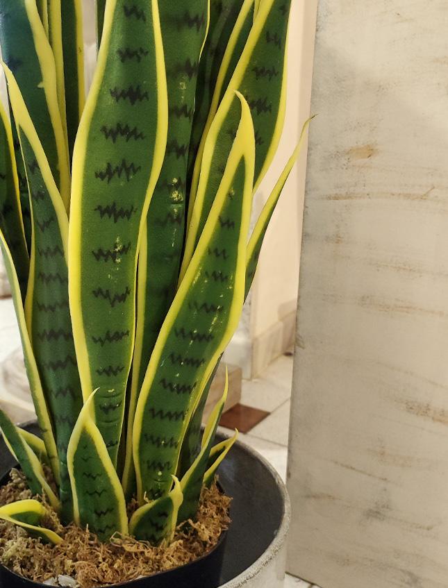 Sanseveria Trifasciata H 90  - Sconti per Fioristi e Aziende . - Artificiale con vaso