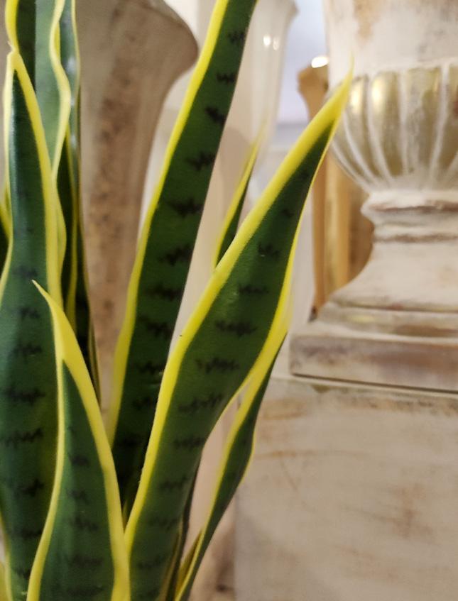 Sanseveria Trifasciata H 70 - Sconti per Fioristi e Aziende . - Artificiale con vaso