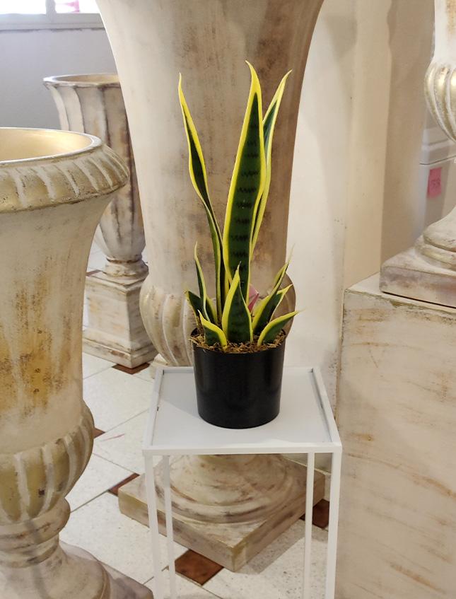 Sanseveria Trifasciata H 40 - Sconti per Fioristi e Aziende . - Artificiale con vaso