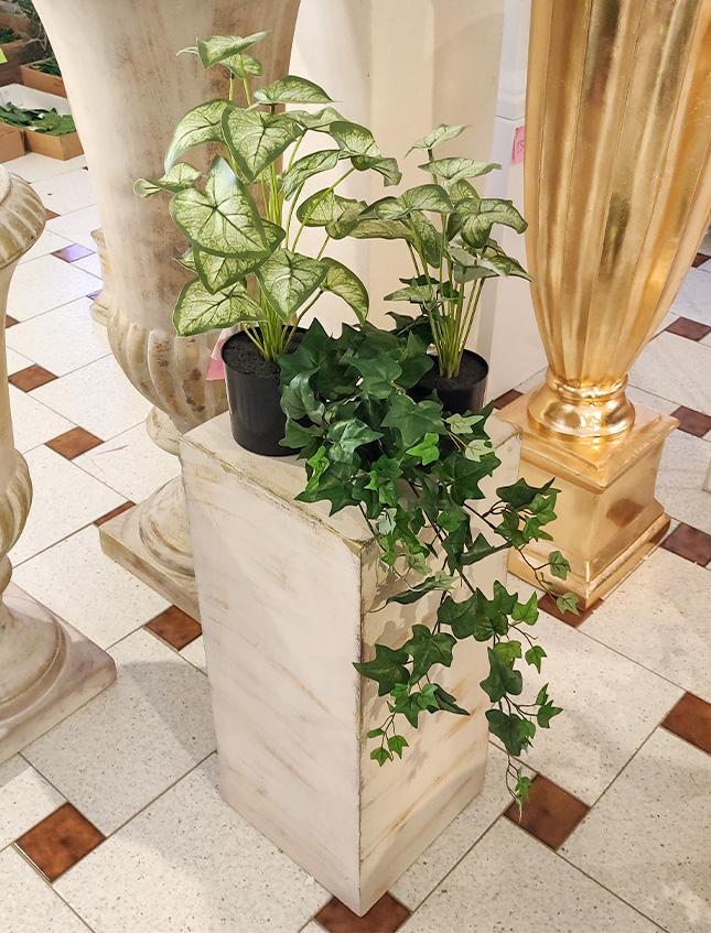 Caladium x 12 Verde H 35 - Sconti per Fioristi e Aziende . - Artificiale con vaso