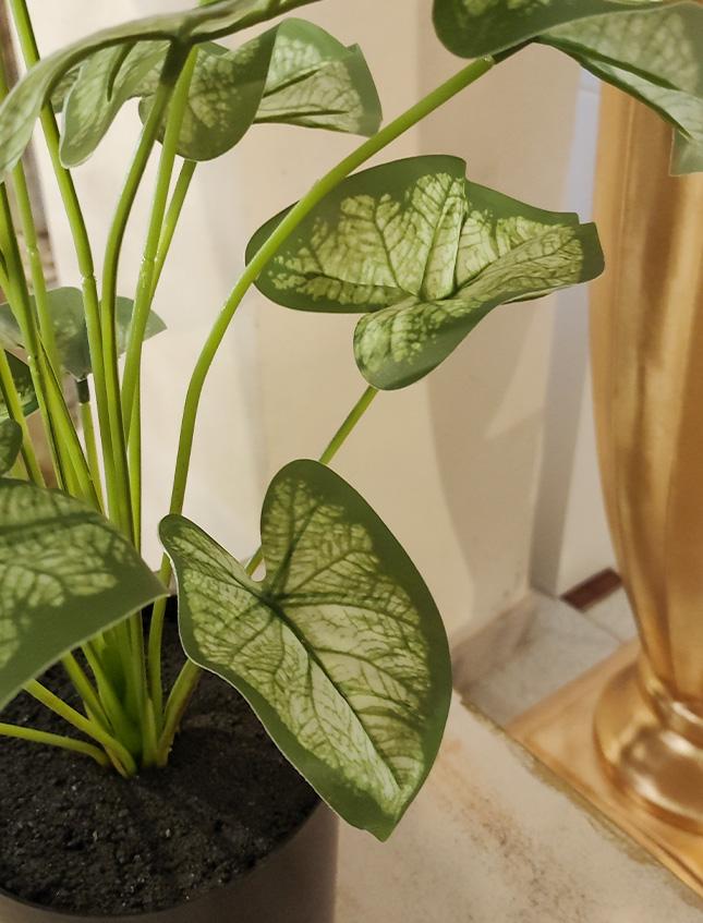Caladium x 18 Verde H 48  - Sconti per Fioristi e Aziende . - Artificiale con vaso