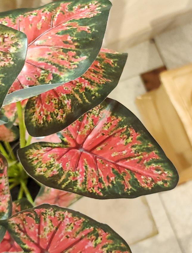 Caladium x 18 Rosso H 48 - Sconti per Fioristi e Aziende . -  Artificiale con vaso
