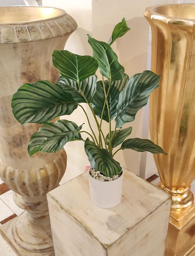 Calathea x 12 Striata H 57 - Sconti per Fioristi e Aziende . -  Artificiale con vaso