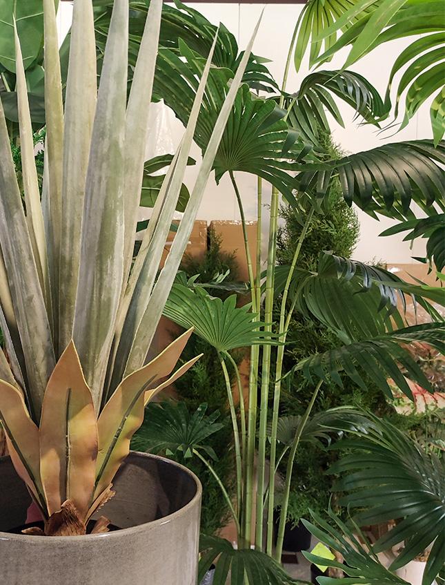 Agave Seal H 75  con vaso - Sconti per Fioristi e Aziende . - Artificiale