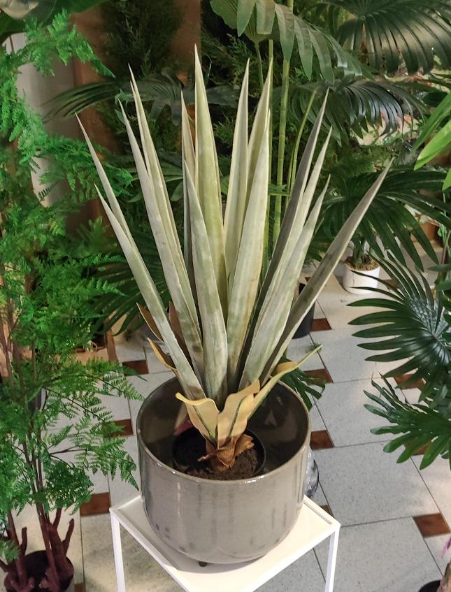 Agave Seal H 75  con vaso - Sconti per Fioristi e Aziende . - Artificiale