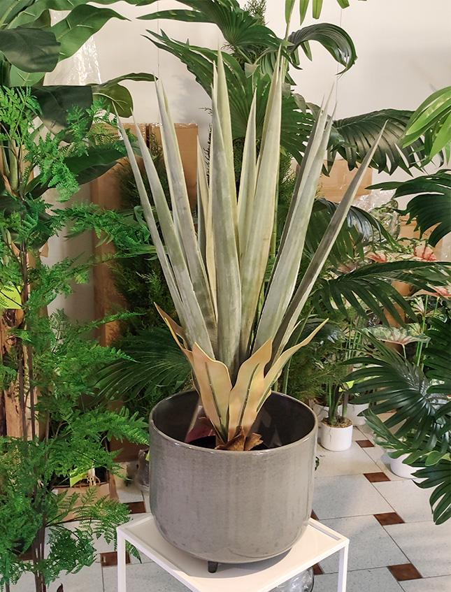 Agave Seal H 75  con vaso - Sconti per Fioristi e Aziende . - Artificiale