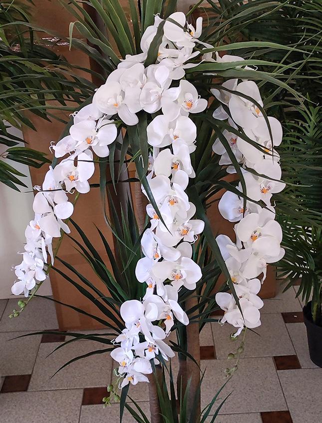 Phalenopsis Cadente x 3 H 113 - Sconti per Fioristi e Aziende . - In poliester