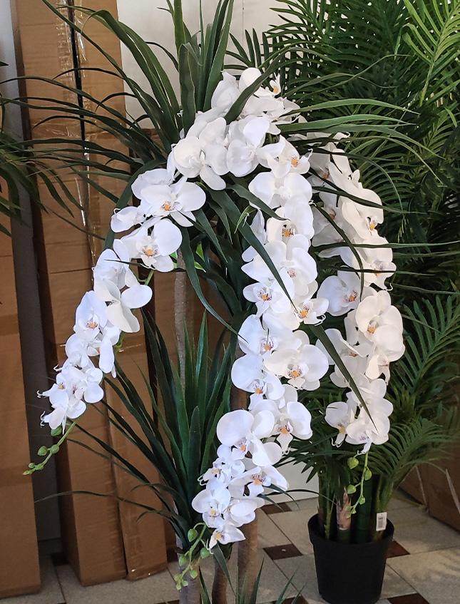 Phalenopsis Cadente x 3 H 113 - Sconti per Fioristi e Aziende . - In poliester