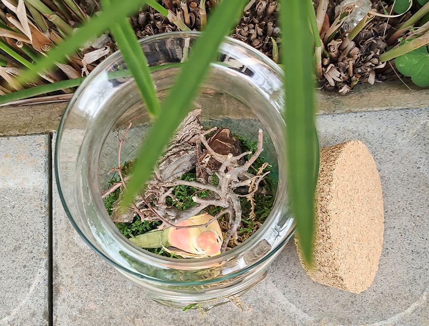 Ampolla Terrarium con foro H 20 dm.14 - Sconti per Fioristi e Aziende