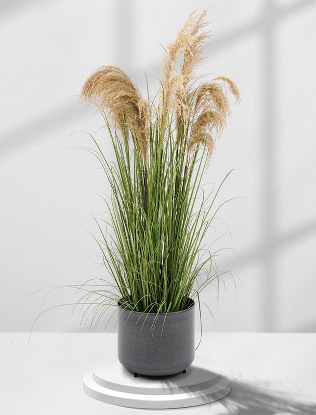 Pianta di Pampas H 170 - Sconti per Fioristi e Aziende . - Artificiale con Grass