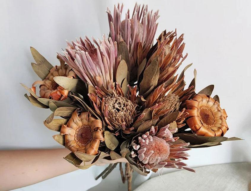 Protea Rosetta x 10 naturale stabilizzata - Sconti per Fioristi e Aziende