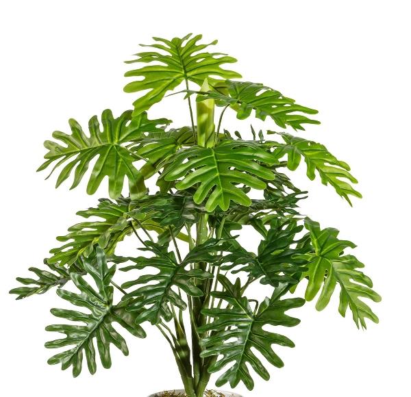 Monstera H 50 x 22 lvs. - Sconti per Fioristi e Aziende . - Artificiale