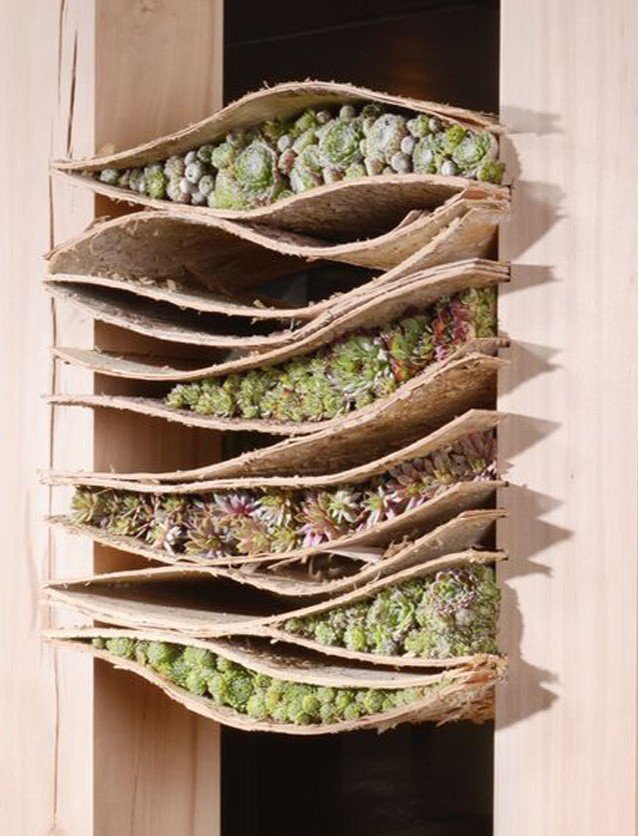 Fogli Corteccia Betulla FloristryWarehouse - Confezione Da 7, 24x17 Cm, Per Artigianato E Decorazioni - Foto 13