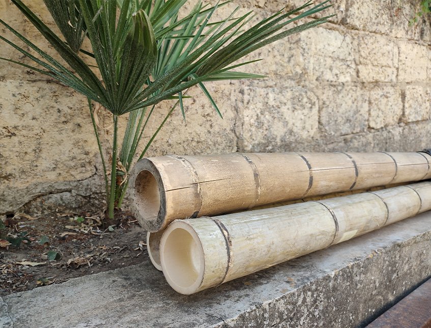 Canna di Bamboo dm 10/12 - Sconti per Fioristi e Aziende . - Alte cm.200