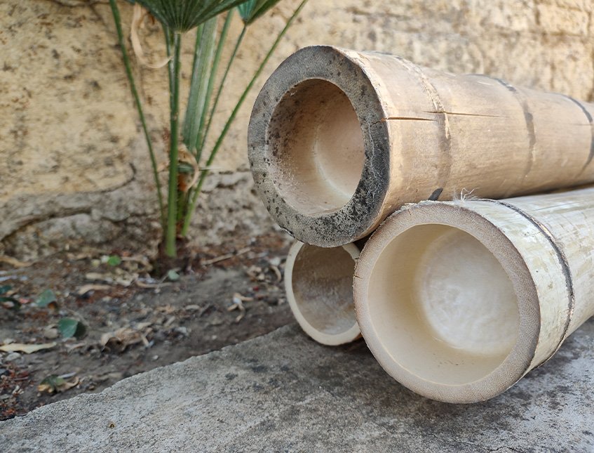 Canna di Bamboo dm 10/12 - Sconti per Fioristi e Aziende . - Alte cm.200