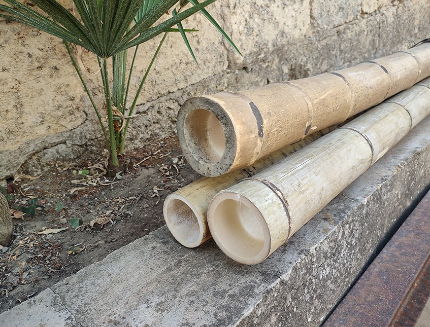 Canna di Bamboo dm 10/12 - Sconti per Fioristi e Aziende . - Alte cm.200
