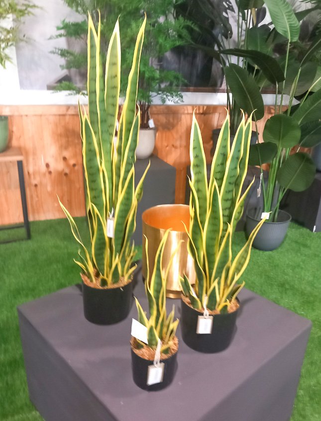 Sanseveria Trifasciata H 90  - Sconti per Fioristi e Aziende . - Artificiale x 29 foglie in vaso