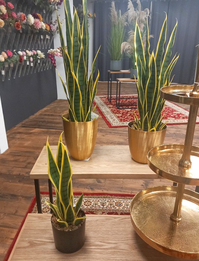 Sanseveria Trifasciata H 90  - Sconti per Fioristi e Aziende . - Artificiale con vaso