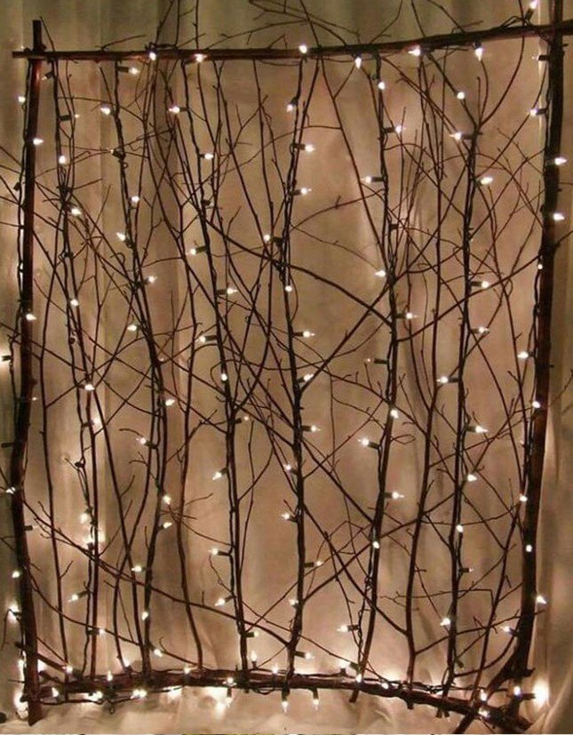 Nocciolo Contorto H 300 x 10 - Sconti per Fioristi e Aziende - Salix Willow naturale