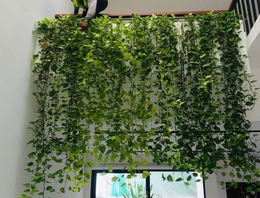 Giardino Verticale Artificiale  - Sconti per Fioristi e Aziende - Adatto in esterno ed Interno