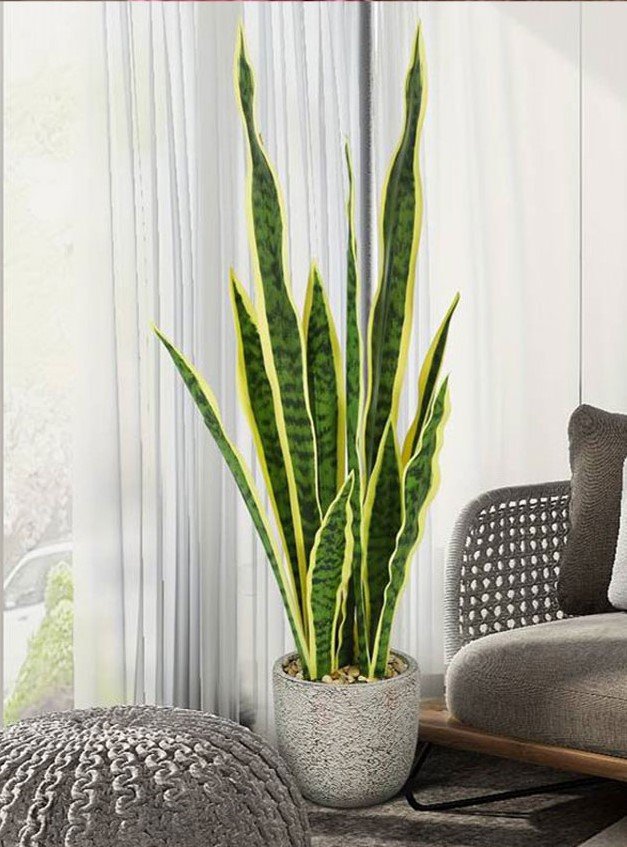 Sanseveria Trifasciata H 90  - Sconti per Fioristi e Aziende . - Artificiale x 29 foglie in vaso
