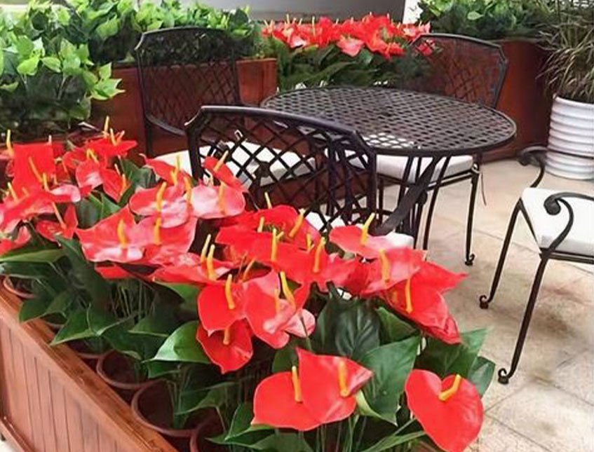 Anturium plant x 2 Artificiale - Sconti per Fioristi e Aziende - in poliestere