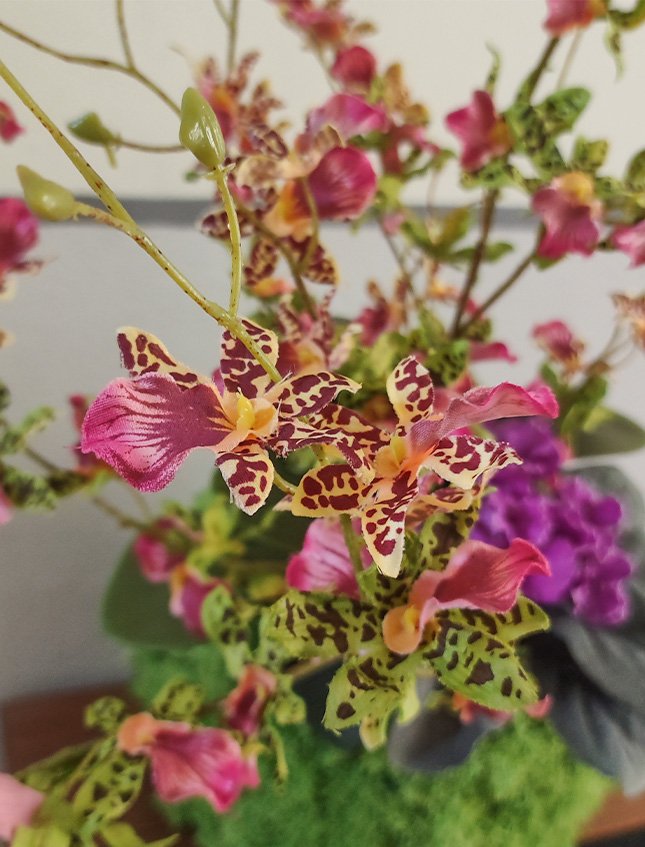 Kokedama Dancing Orchidea - Sconto per Fioristi e Aziende . - Verde H 60 dm. 50