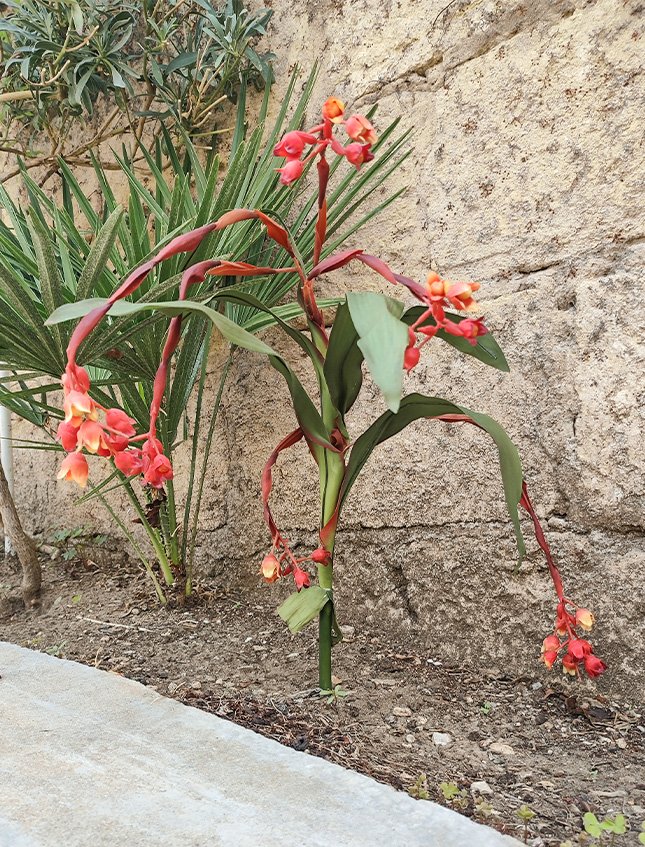 Bilbergia Plant H 80  - Sconti per Fioristi e Aziende - Artificiale Animata