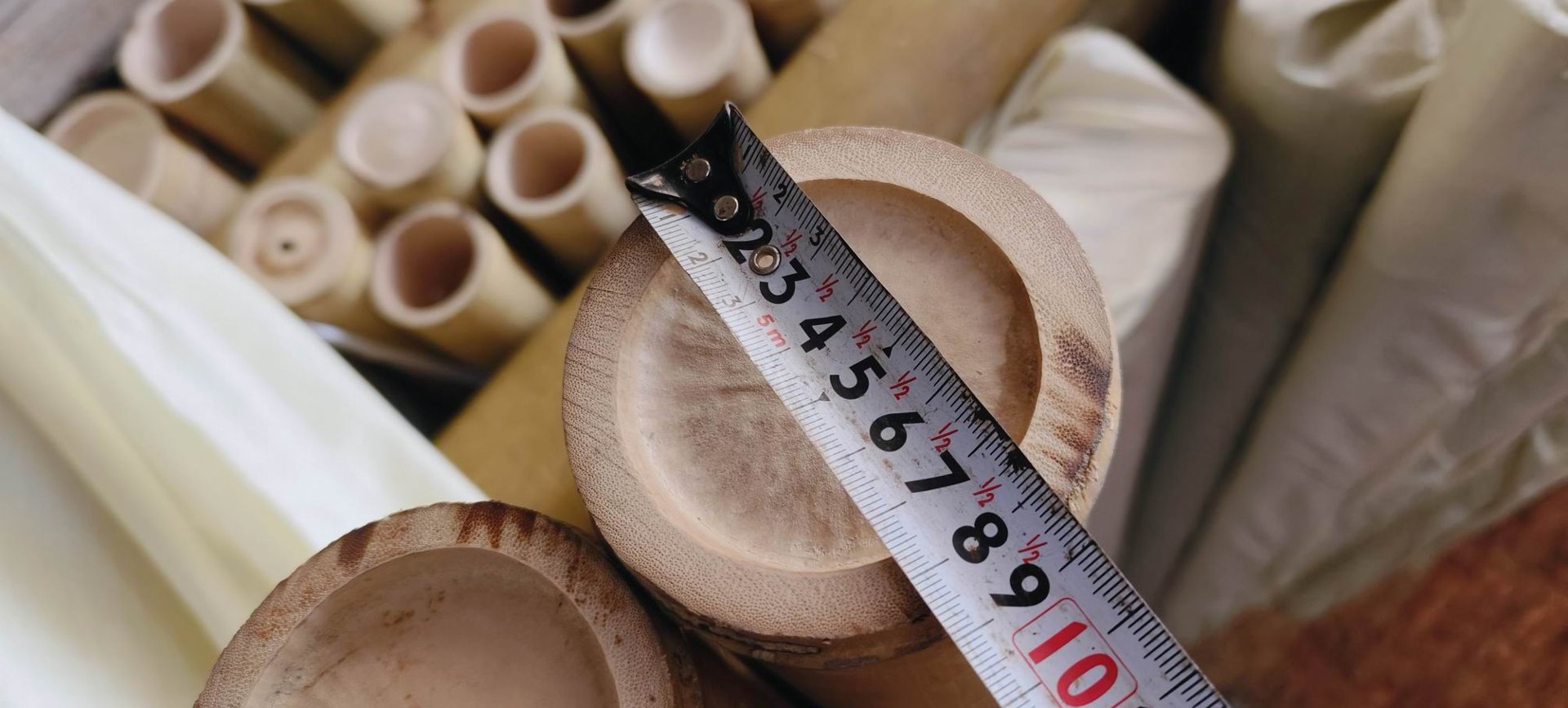 Canna di Bamboo dm 10/12 - Sconti per Fioristi e Aziende . - Alte cm.200