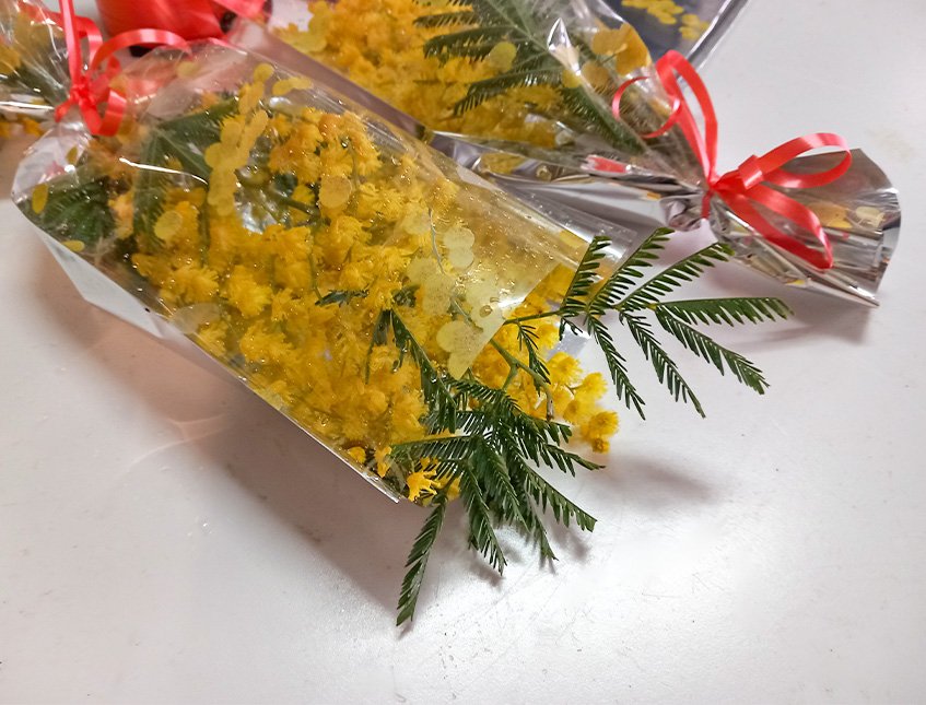 Busta per mimosa cm.15x30   - Sconti per Fioristi e Aziende - Fondo Argento - Conf.. 100 pz.