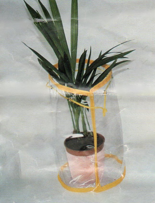 Borsetta per Fiori in PVC- Sconti per Fioristi e Aziende - Trasparente mod. cilindro aperto