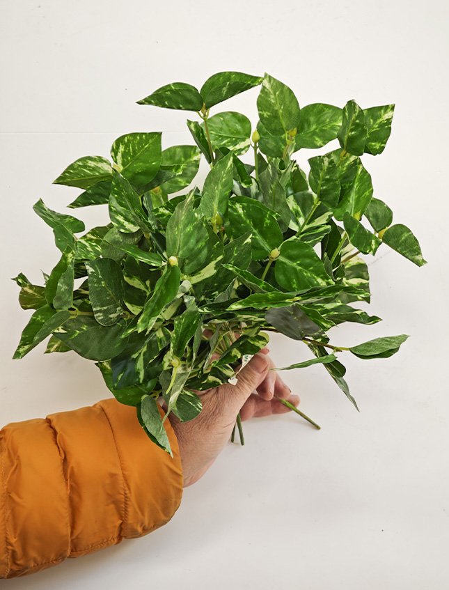 Pothos Bush x 6  - Sconti per Fioristi e Aziende . - H 25 In poliester