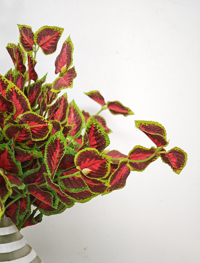 Coleus spray x 3  - Sconti per Fioristi e Aziende . - H 45 In poliester