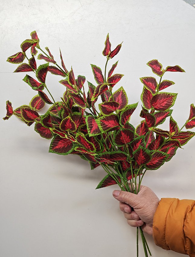Coleus spray x 3  - Sconti per Fioristi e Aziende . - H 45 In poliester