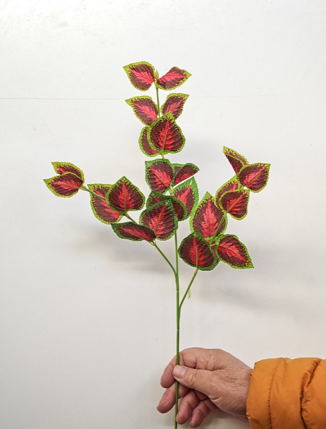 Coleus spray x 3  - Sconti per Fioristi e Aziende . - H 45 In poliester