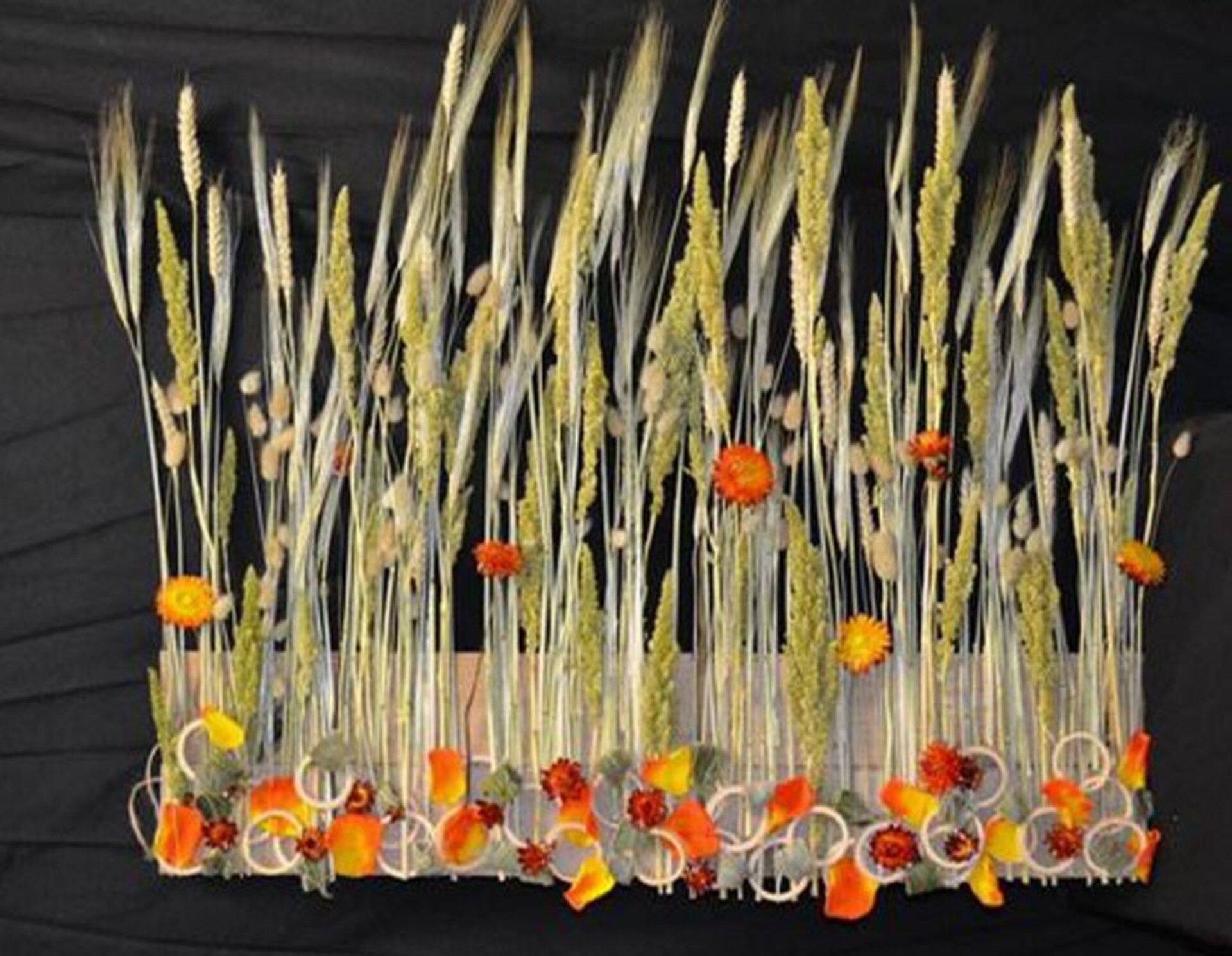 Spighe di grano stabilizzato mazzo 100 steli - Sconti per Fioristi e Aziende