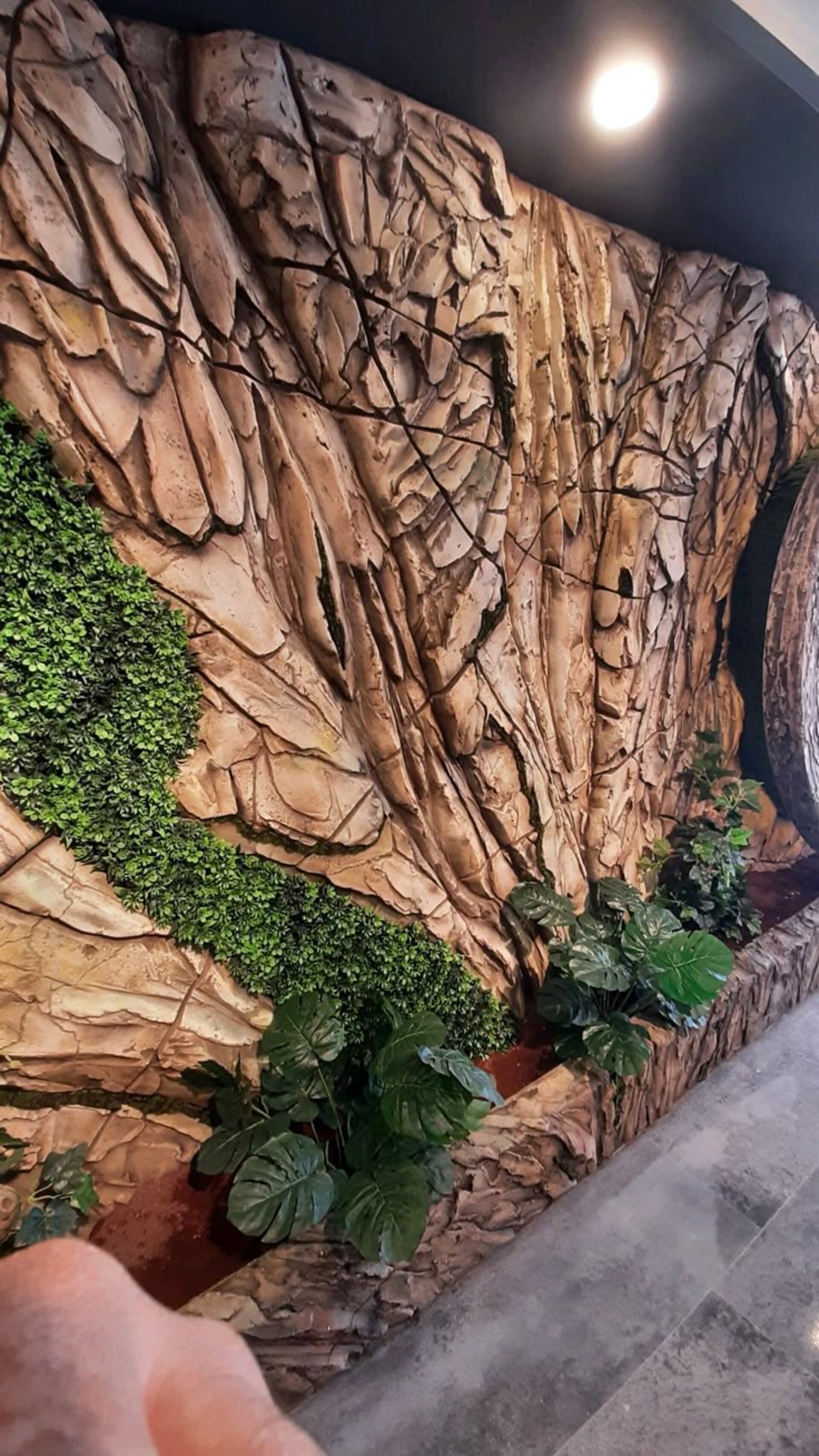 Giardino Verticale su Parete Rocciosa - Sconto per Fioristi e Aziende - con Muschi e Vegetali Preservati