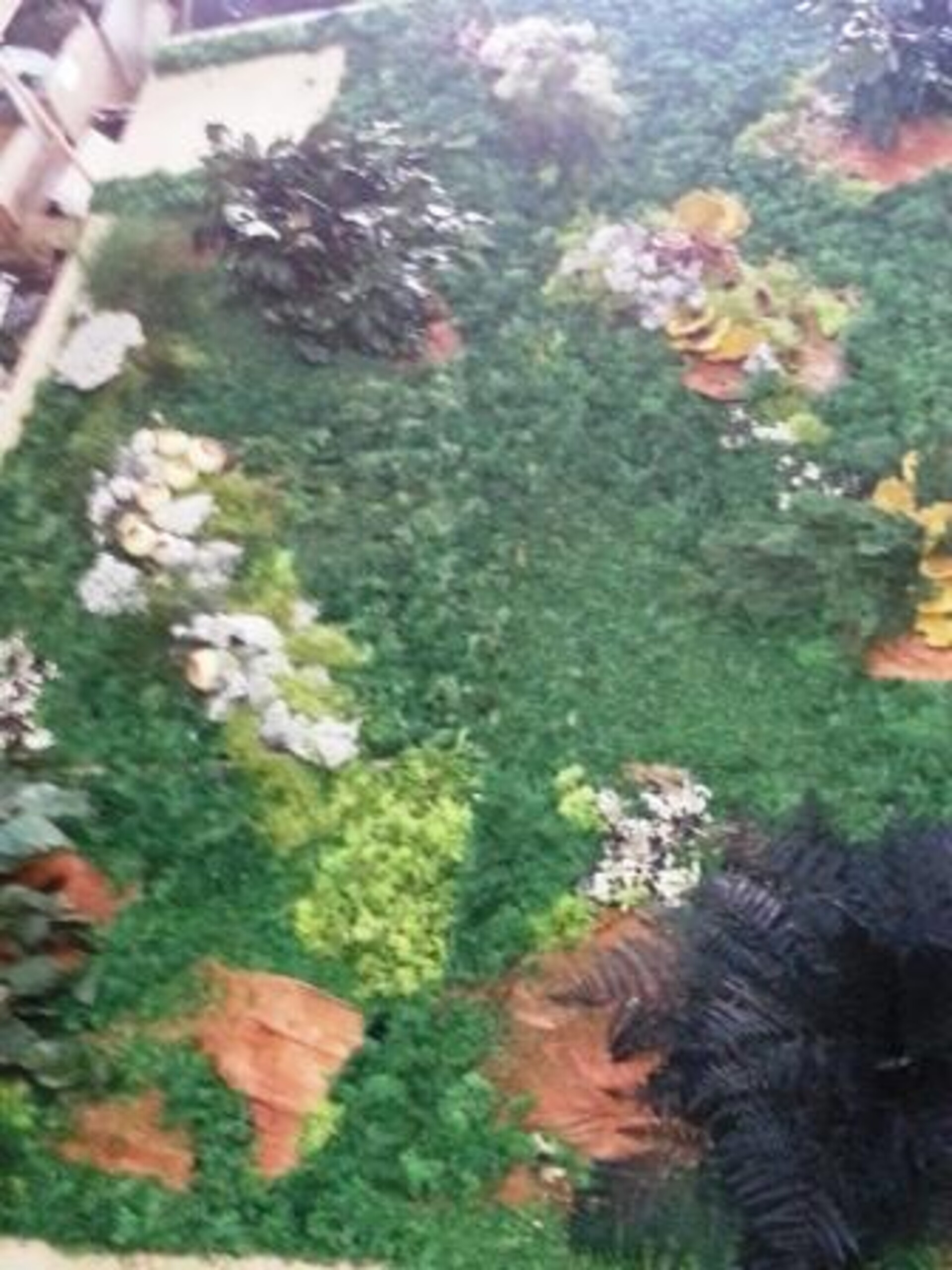 Giardini Vegetali Preservati - Adatti soltanto per interni . - Stile Airport VIP