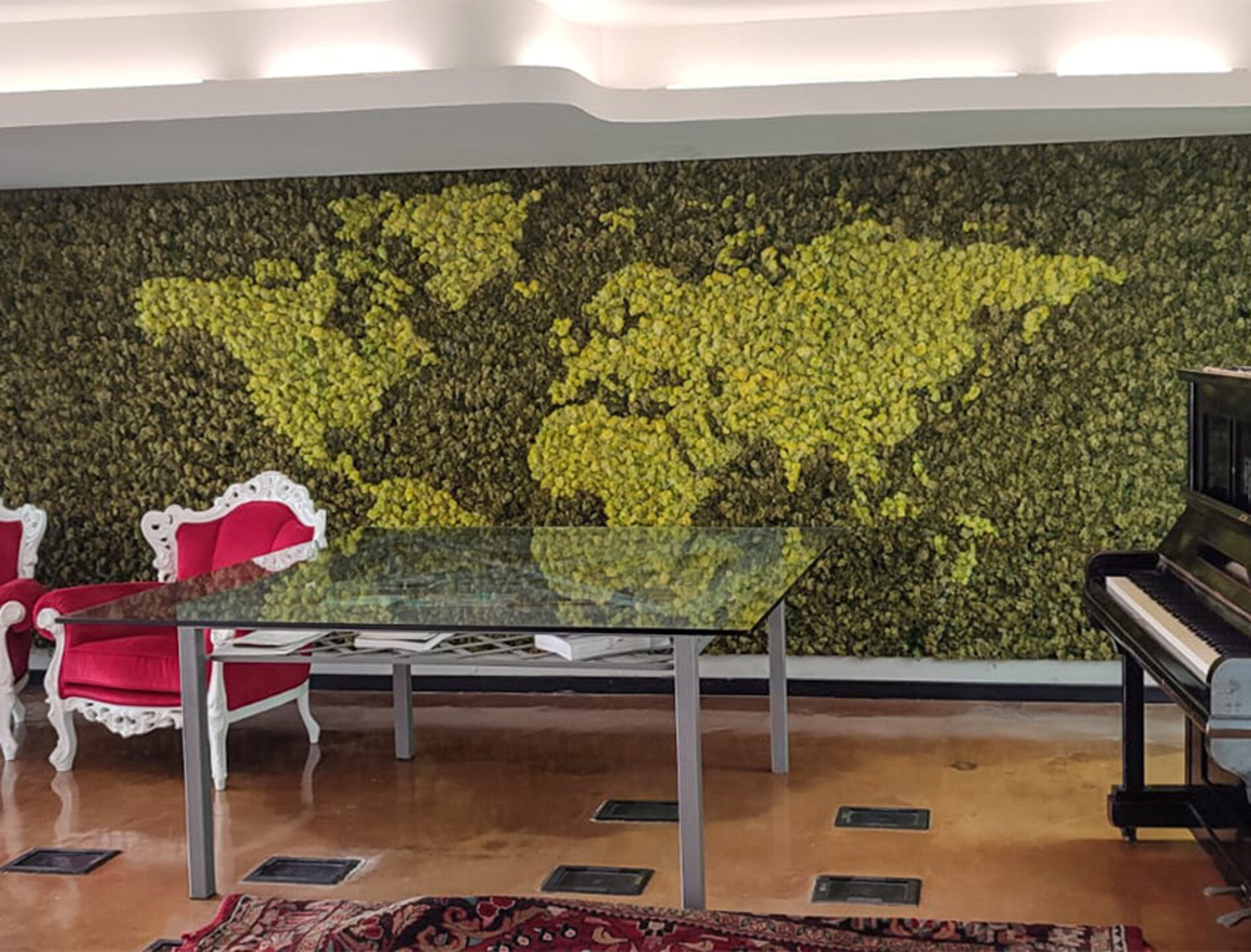 Parete Moss Stabilizzata - Sconti per Fioristi e Aziende . - Stile Planisfero