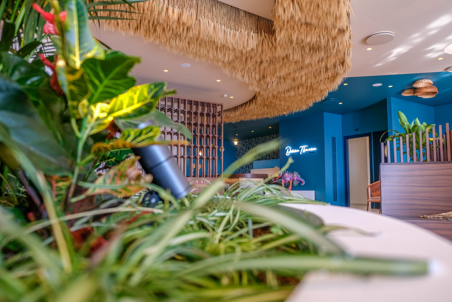 Soffitto Spighe di grano preservate per Ristoranti, Hotels e Resort - Vendita a metro quadrato