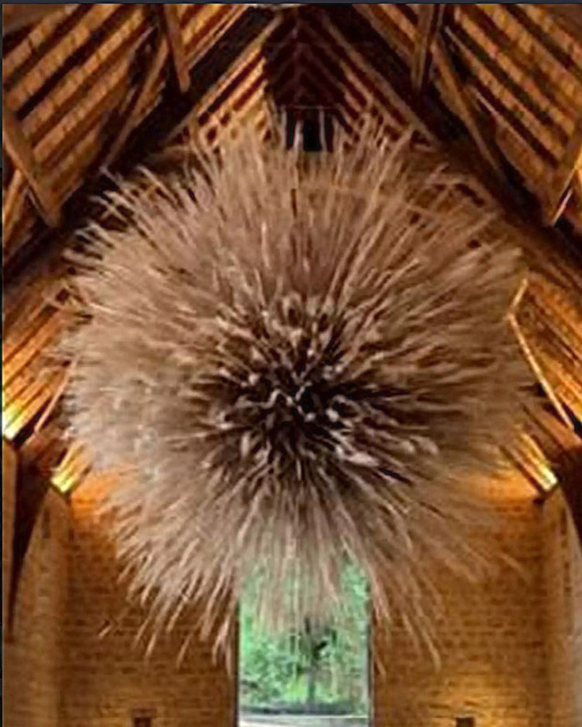 Soffitto Spighe di grano preservate per Ristoranti, Hotels e Resort . - a metro quadrato