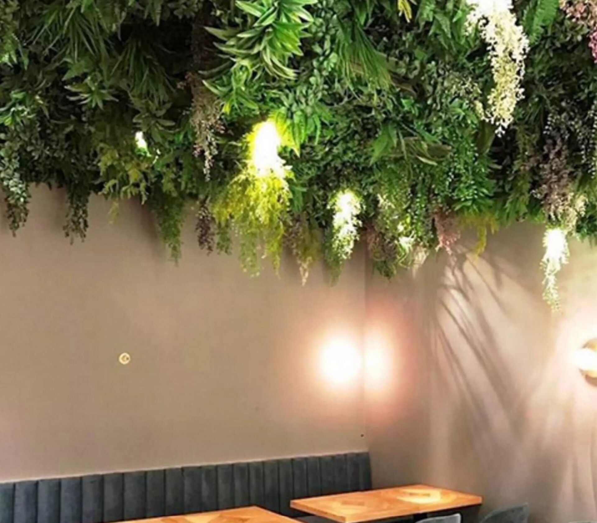 Soffitto con Vegetali Verdi Pendentii - Sconto per Fioristi e Aziende - Per esterno ed interno