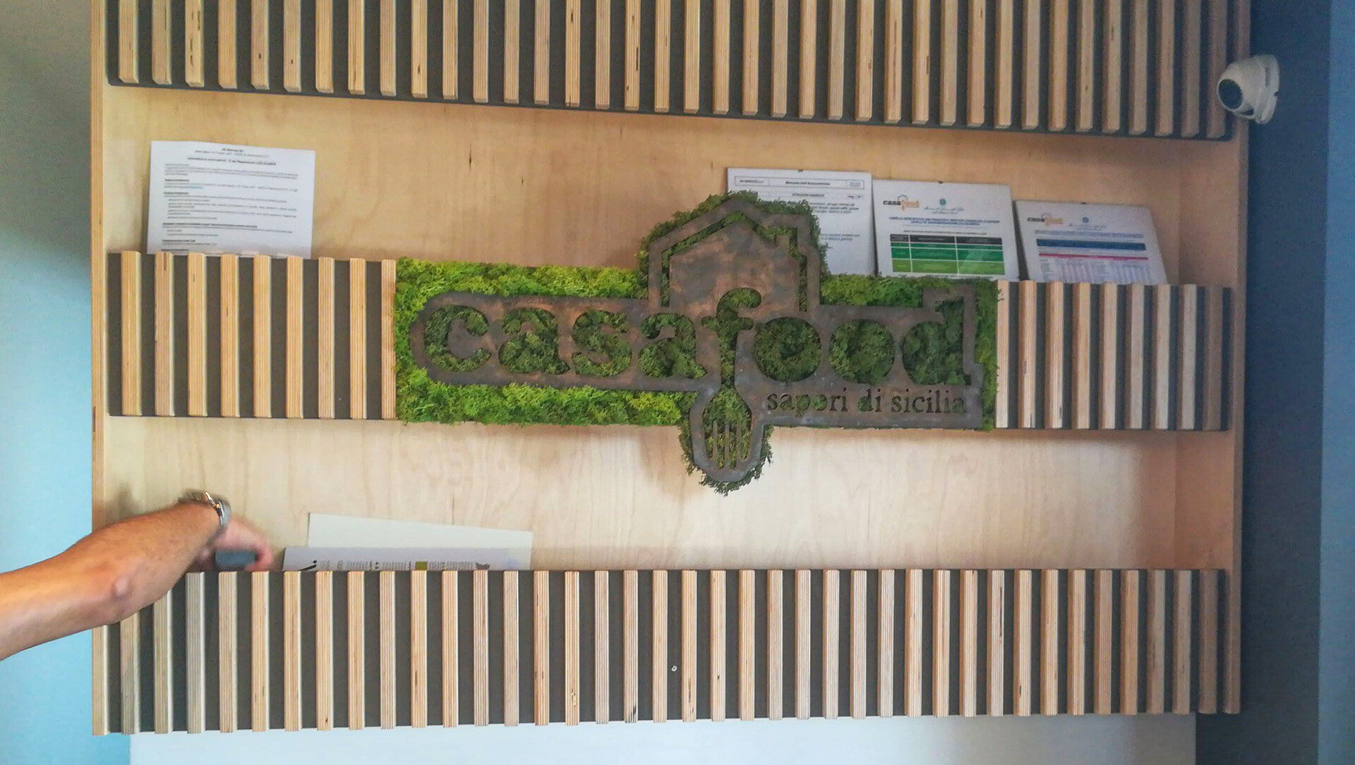 Parete Moss Stabilizzata - Sconti per Fioristi e Aziende . - Wall Moss a metro quadrato