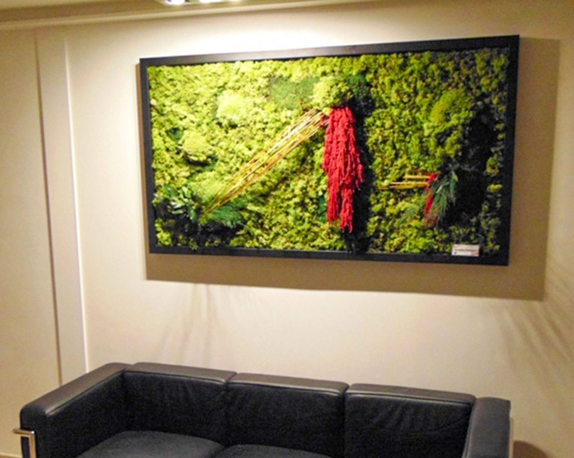 Giardini Vegetali Preservati - Mod. AV 2015 . - Adatto per Interno