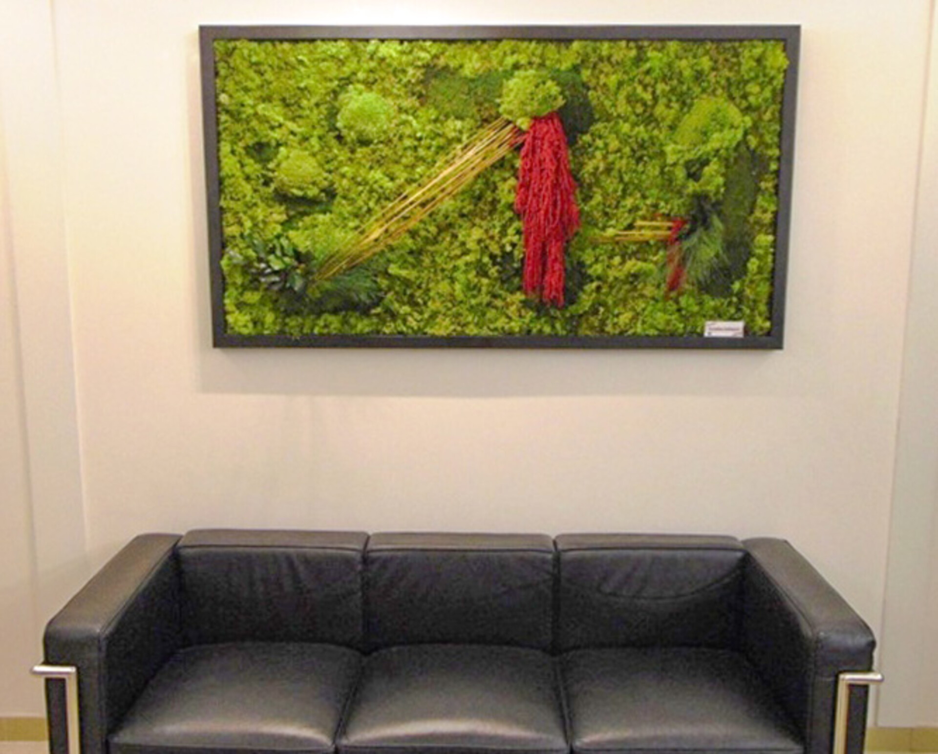 Giardini Vegetali Preservati - Mod. AV 2015 . - Adatto per Interno