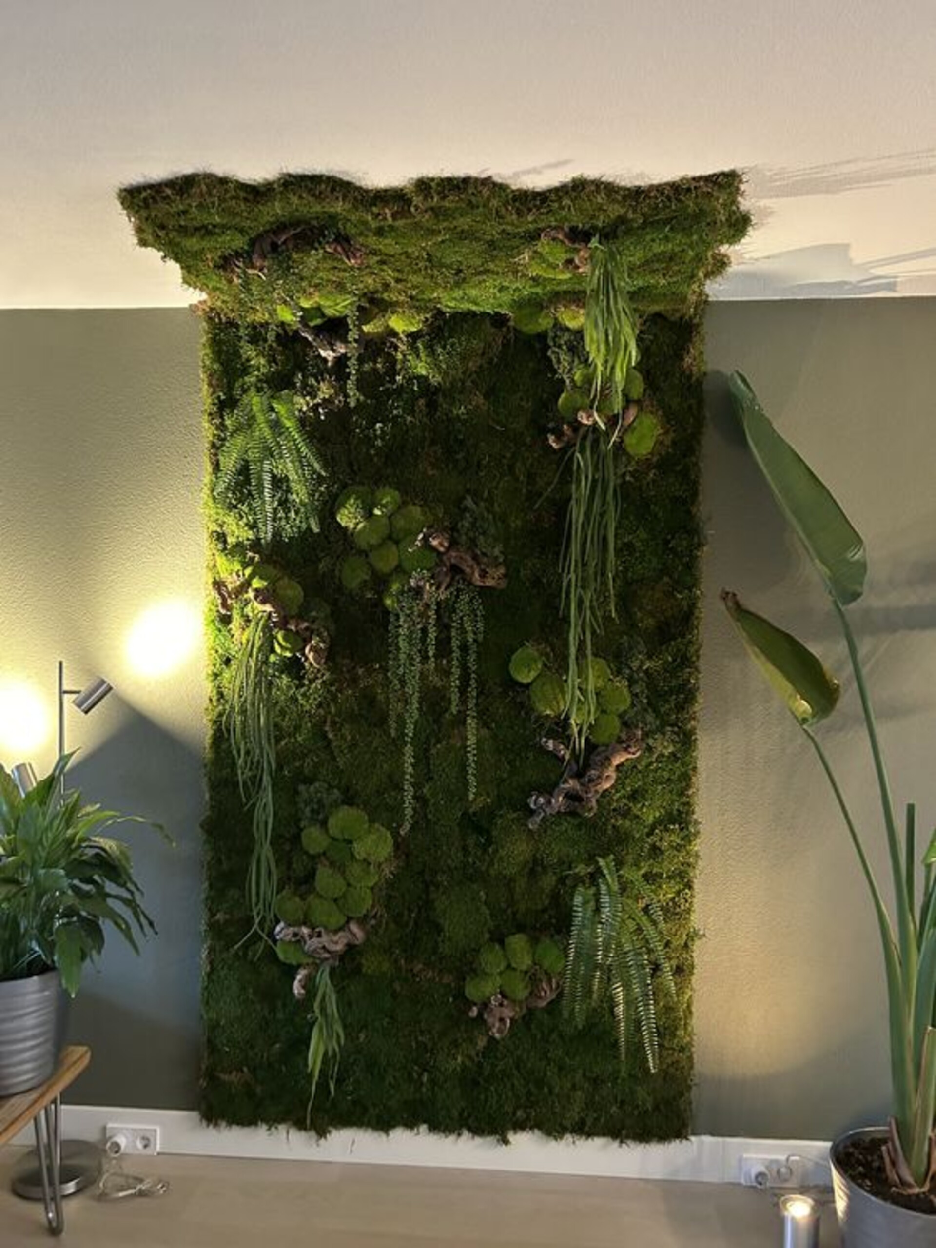 Giardini Vegetali Preservati - Sconti per Fioristi e Aziende - Adatto per Interno