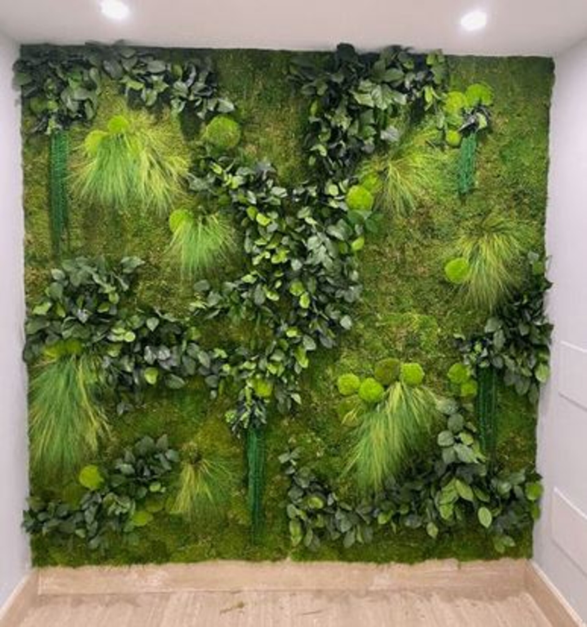 Giardini Vegetali Preservati - Sconti per Fioristi e Aziende - Adatto per Interno