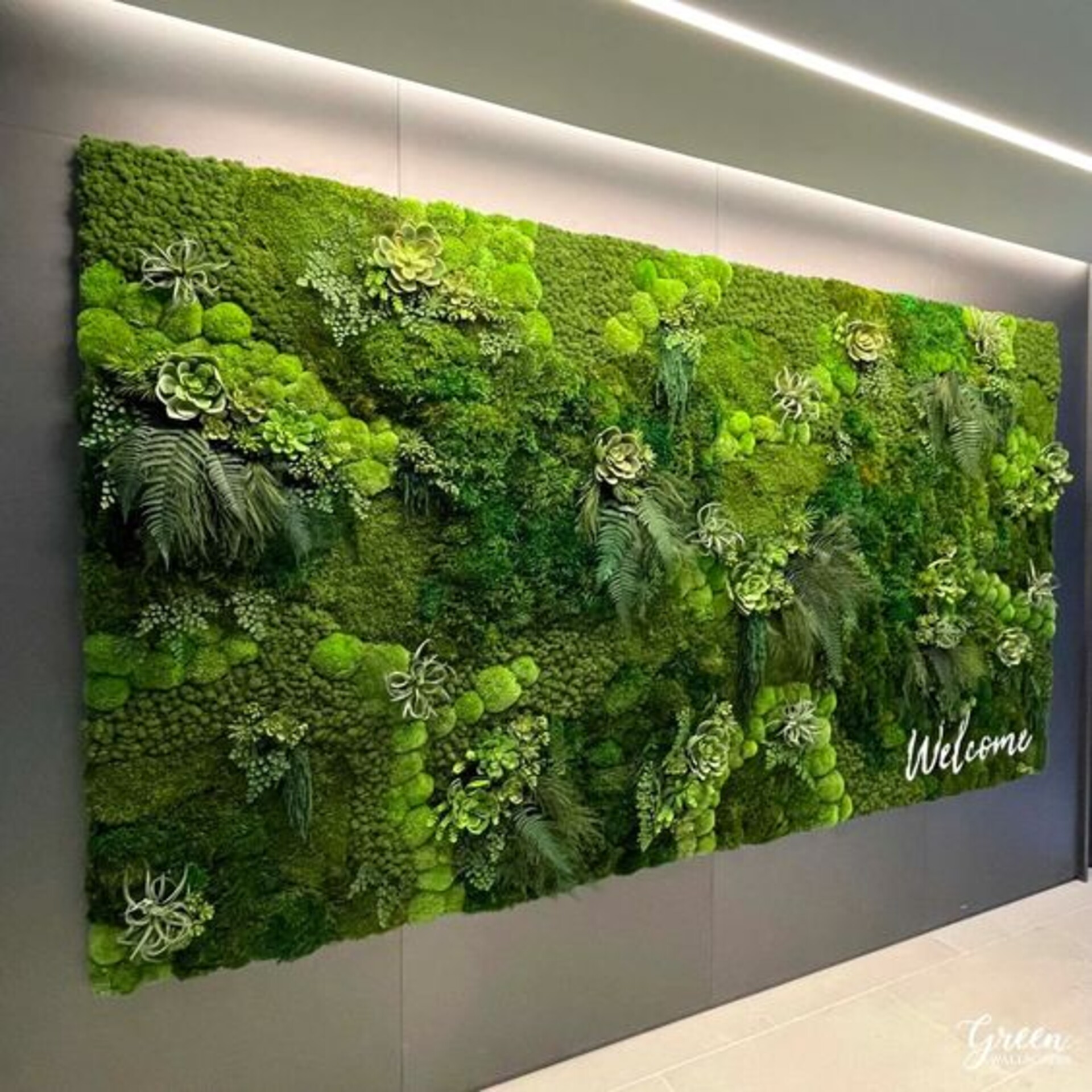 Giardini Vegetali Preservati - Sconti per Fioristi e Aziende - Adatto per Interno